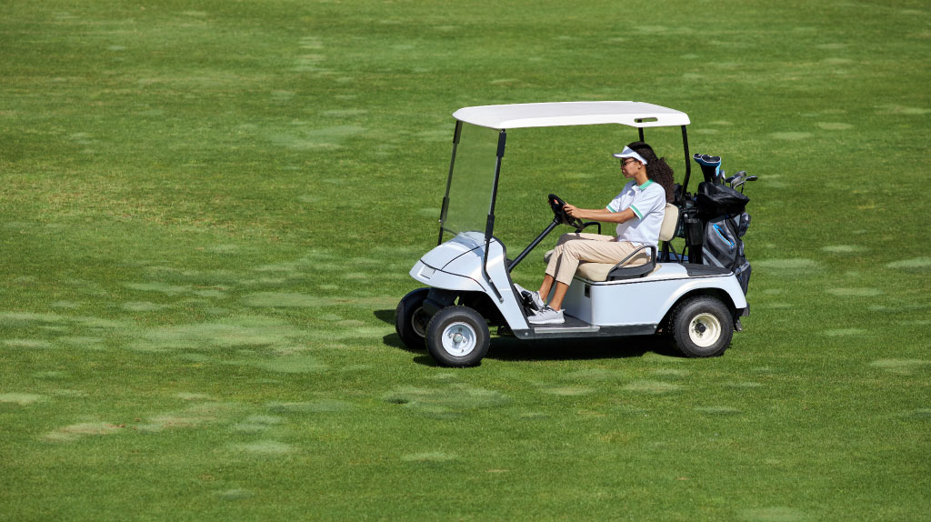 Brush-Guards-for-Golf-Carts-Are-Essential-Modifications